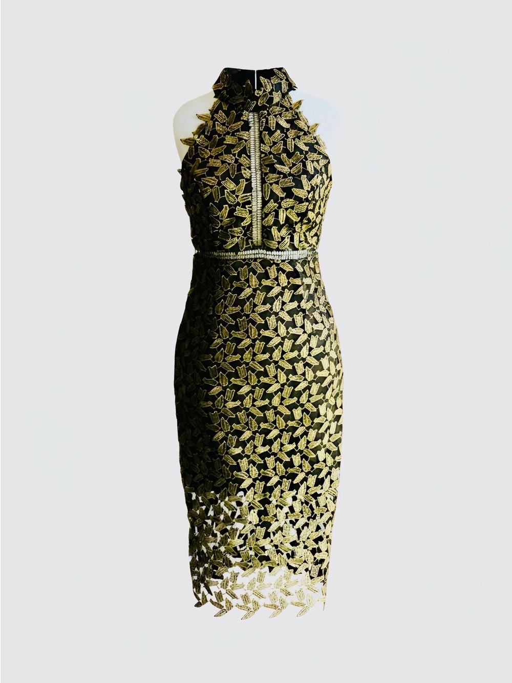 Bardot Black Midi Dress with Gold Lace Overlay - Size 4, XS